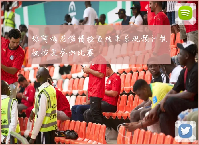 琼阿梅尼伤情检查结果乐观预计很快恢复参加比赛
