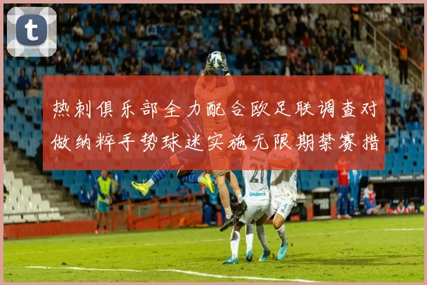 热刺俱乐部全力配合欧足联调查对做纳粹手势球迷实施无限期禁赛措施